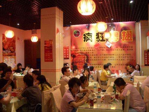 阿拉善右黯然销魂翅